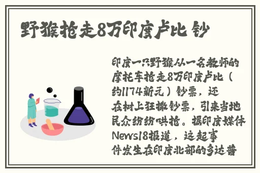 99精产国品一二三产品功能